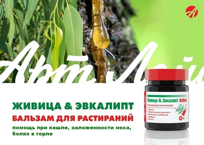 Бальзам для растираний Живица-Эвкалипт Бальзам для растираний Живица-Эвкалипт